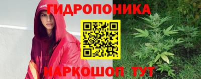 шишки Комсомольск-на-Амуре