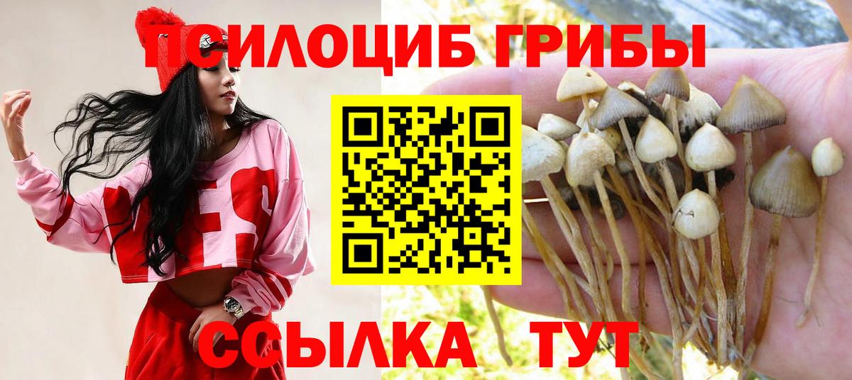 Псилоцибиновые грибы прущие грибы  Галлюциногенные грибы мицелий  Клинцы  Вход с VPN 