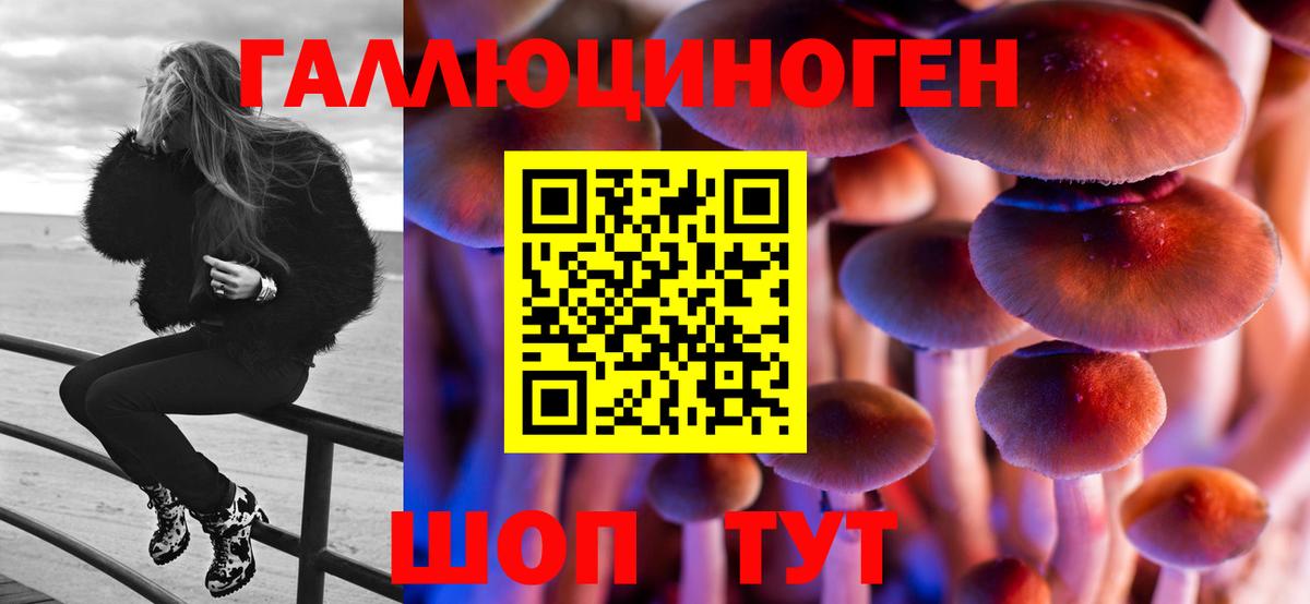 Галлюциногенные грибы Magic Shrooms Клинцы
